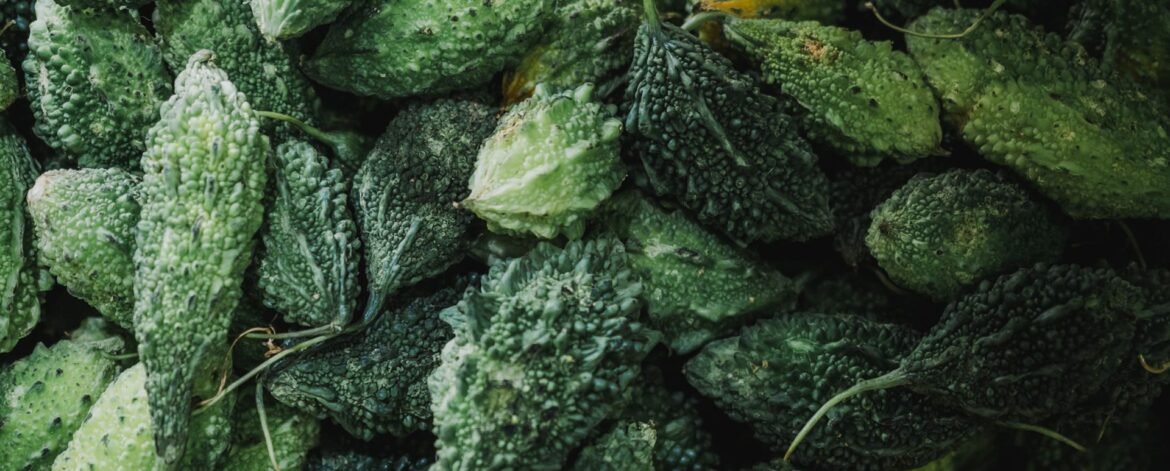 goh-rhy-yan-PyBocTfwLj0-unsplash goh-rhy-yan-PyBocTfwLj0-unsplash